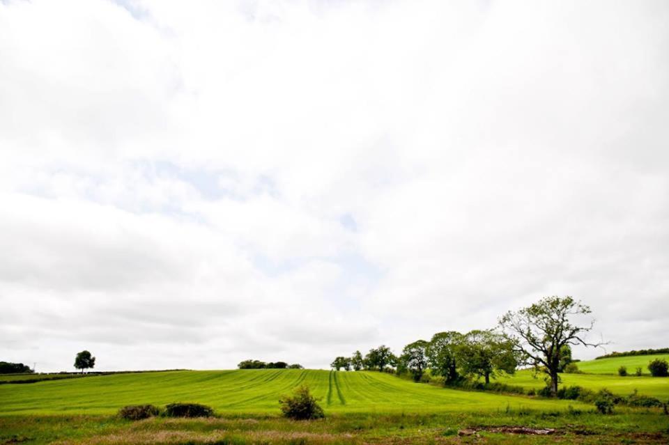 Bamflatt Farm Bed & Breakfast Strathaven Ruang foto